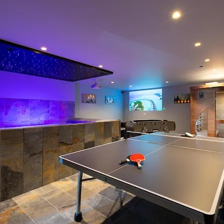 Strasbourg - Lion - Prive, Sauna, Borne D'arcade, Babyfoot *