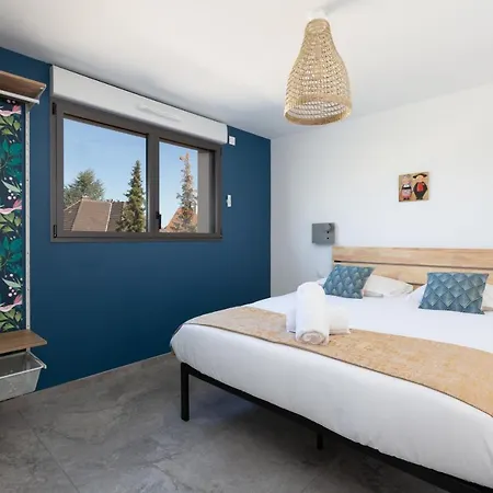 Strasbourg - Lion - Prive, Sauna, Borne D'arcade, Babyfoot *