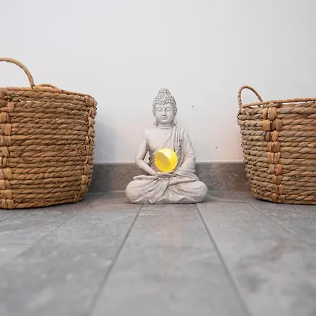 Strasbourg - Lion - Prive, Sauna, Borne D'arcade, Babyfoot *