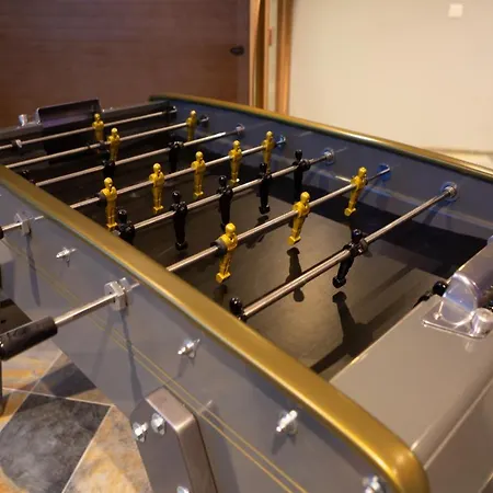 Strasbourg - Lion - Prive, Sauna, Borne D'arcade, Babyfoot Villa