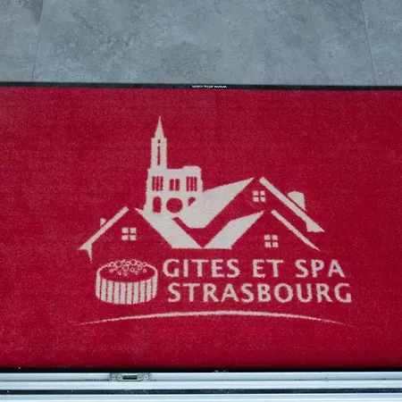 Strasbourg - Lion - Prive, Sauna, Borne D'arcade, Babyfoot 빌라