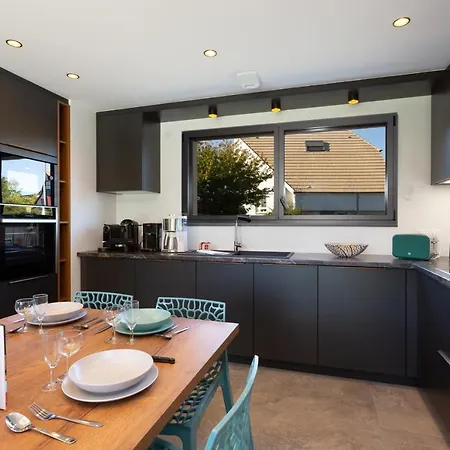 Strasbourg - Lion - Prive, Sauna, Borne D'arcade, Babyfoot * Ittenheim