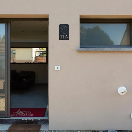 Villa Lion - Piscine I Jacuzzi Chauffee I Jeux I 12 Min Strasbourg * Ittenheim