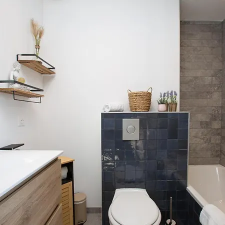 Vila Strasbourg - Lion - Prive, Sauna, Borne D'arcade, Babyfoot *