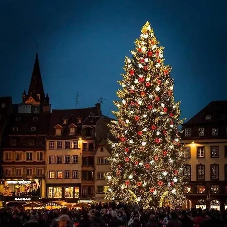 Strasbourg - Lion - Prive, Sauna, Borne D'arcade, Babyfoot * Ittenheim