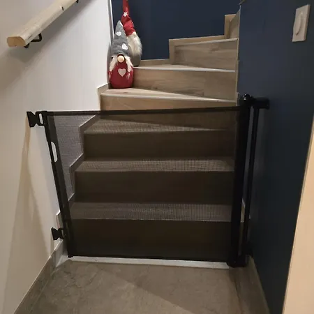 Strasbourg - Lion - Prive, Sauna, Borne D'arcade, Babyfoot Vila