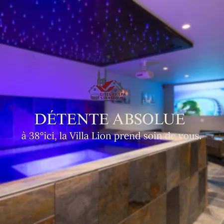 Villa Lion - Spa Prive, Climatisation, Sauna, Borne D'Arcade, Babyfoot
