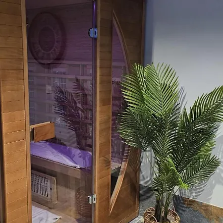 Villa Lion - Spa Prive, Climatisation, Sauna, Borne D'Arcade, Babyfoot Villa *